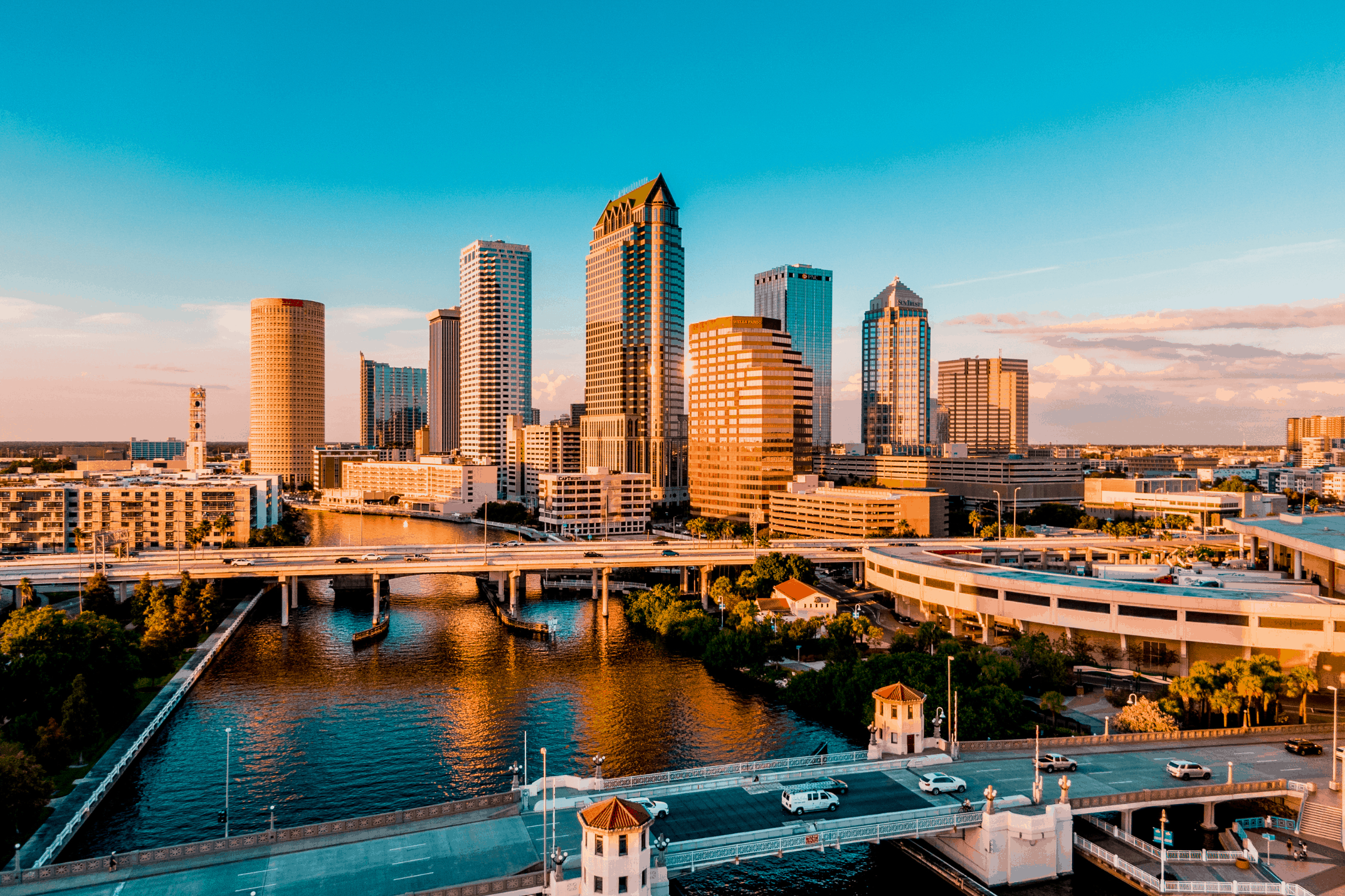 Why Are So Many Families Moving to Tampa Bay?