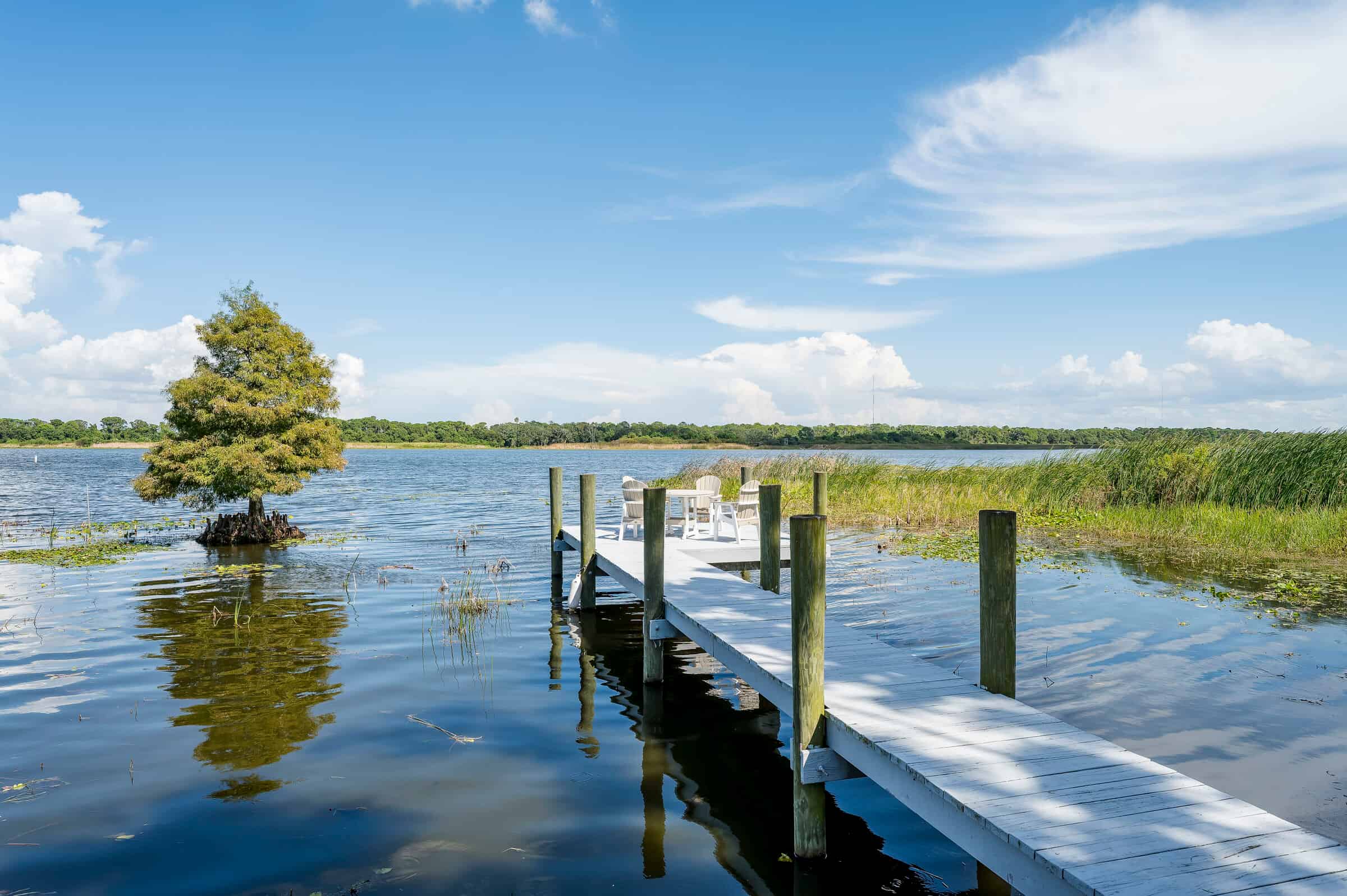 Waterfront dock and shoreline